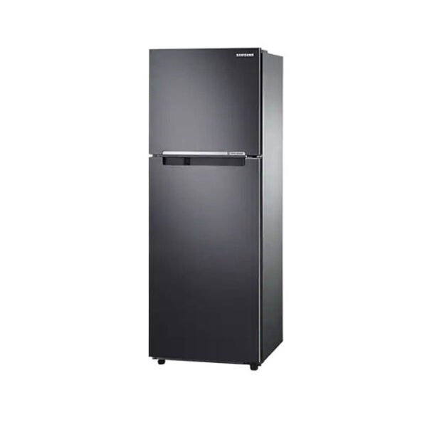 Samsung RT22FGRADB1 Refrigerator Double Door